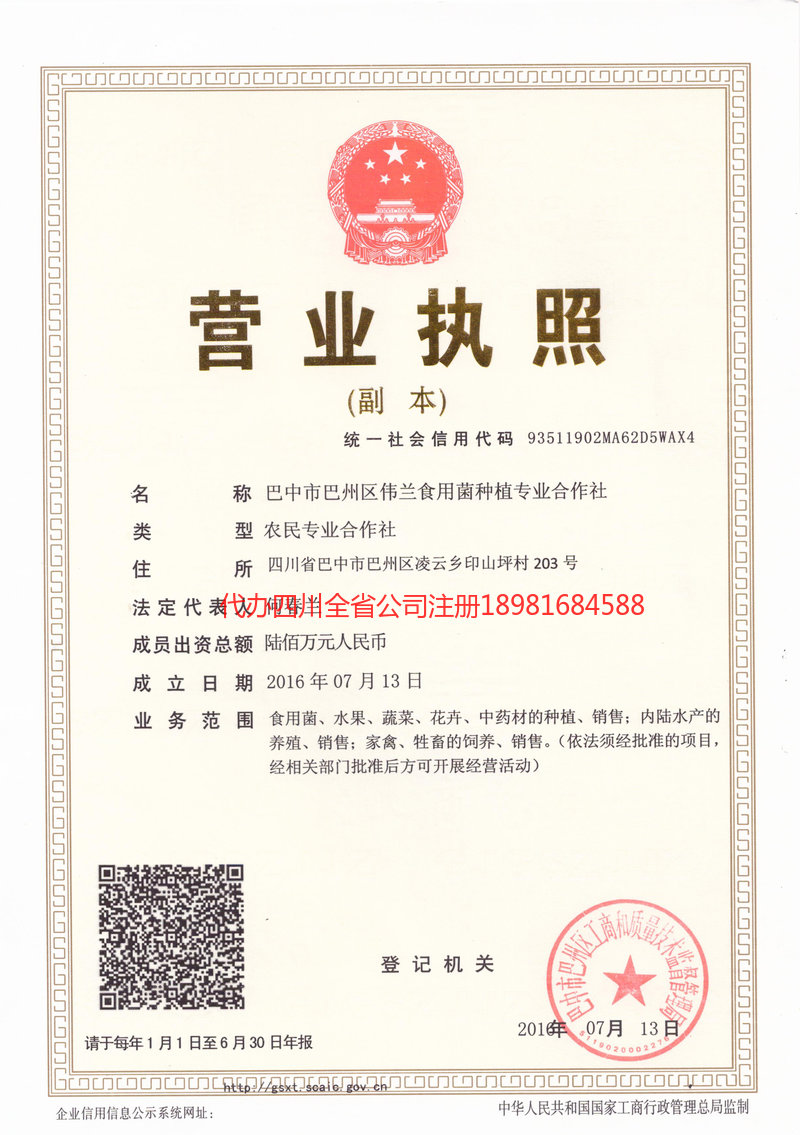 六安六安伟兰食用菌种植专业合作社